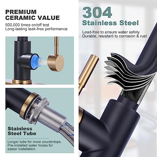 Black and Gold Kitchen Faucet with Sprayer