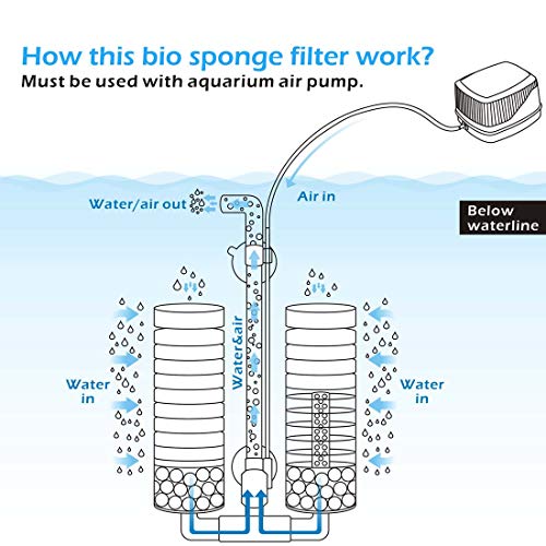 Sponge Filter