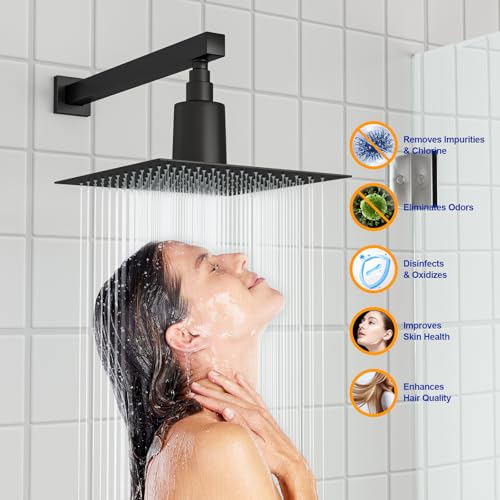Filtered Rain Shower Head
