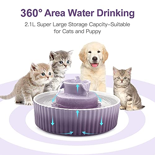 Cat Water Fountain (70 Fl Oz)