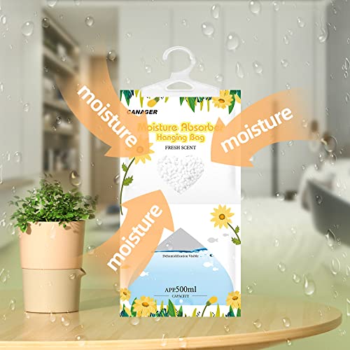 Moisture Absorber (12 Count)