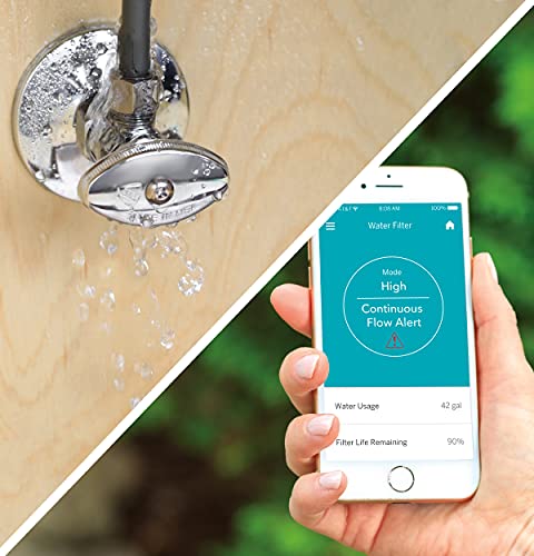 Smart Whole House Leak Detection Water Filtration System