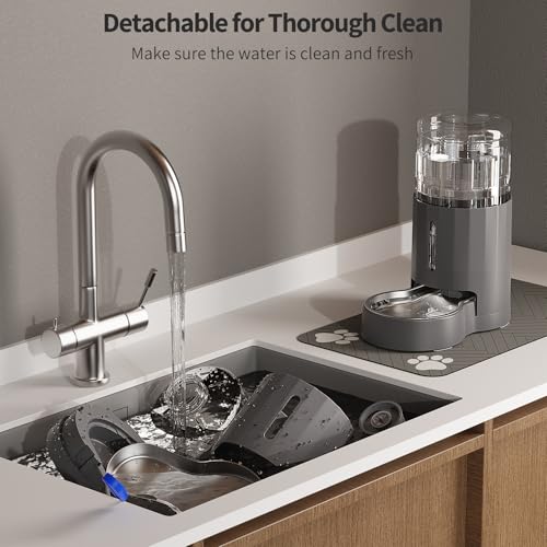 Cat Water Dispenser with Placemat and Stainless Steel Bowl