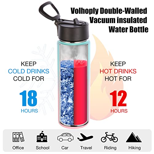 Insulated Water Bottles with Straw Bulk 4 Pack (4 Count)