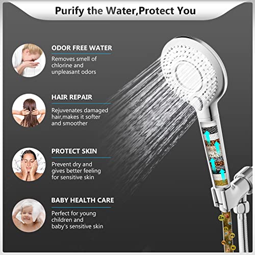Filtered Shower Head with Handheld