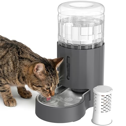 Cat Water Dispenser with Filter and Stainless Steel Bowl