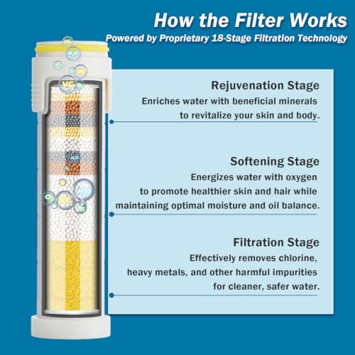 Filtered Shower Head with Handheld (6 Count)