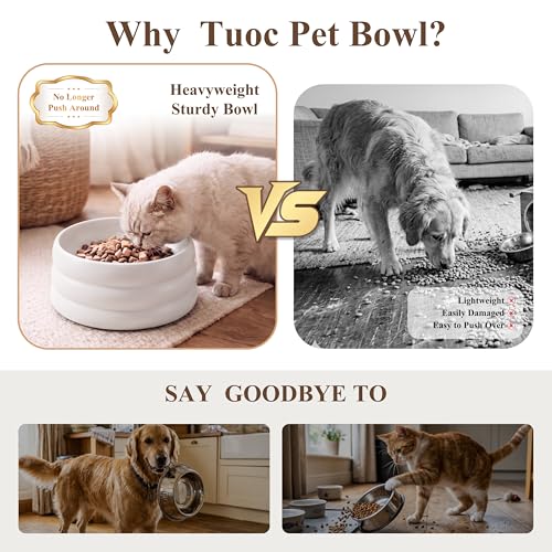 BOBO & Bowl Dog Water Bowl Food