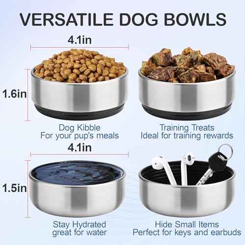 Insulated Dog Travel Water Bottle with Detachable Bowls
