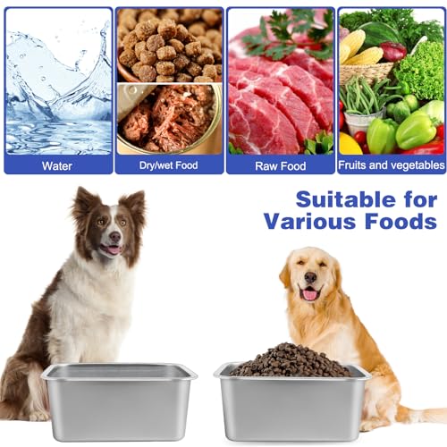 1.25 Gallon Dog Water Bowl (2 Count)