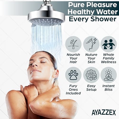 Filtered Shower Head with 2 Filter Cartridges