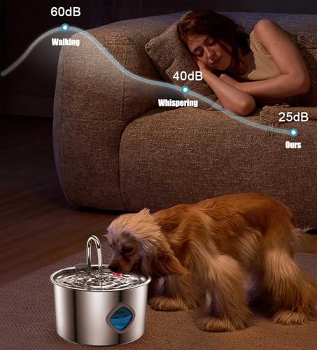 Dog Water Bowl
