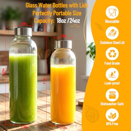 Clear Glass Bottles with Lids (3 Count)