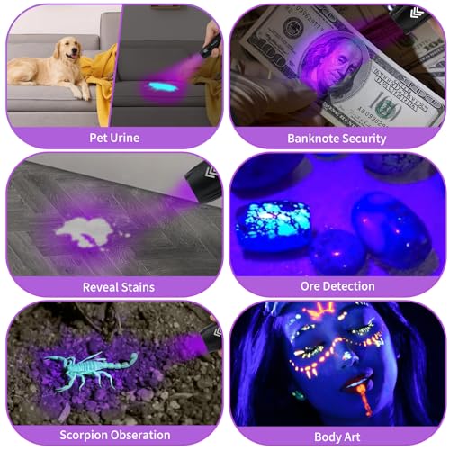 20 Pack Mini UV 395nm Flashlight 3W Rechargeable UV Flashlight Bulk for Hotel Cleaning Pet Stain Detection Scorpion Seeking Mineral Identification Resin Curing (20 Count)