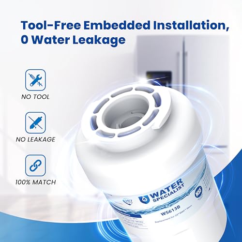 WS613B Water Filter (4 Count)