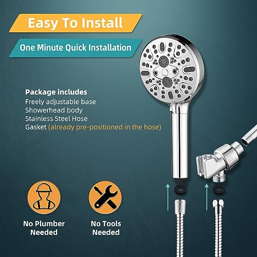 Filtered Shower Head with Handheld
