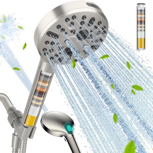 Filtered Shower Head with Handheld