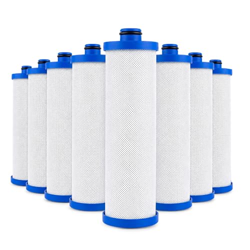 KW1 Filter for RV Water Systems 8 (8 Count)