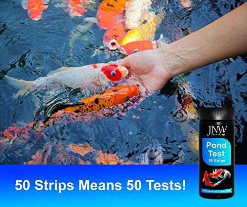 Pond Water Test Kit for Ponds