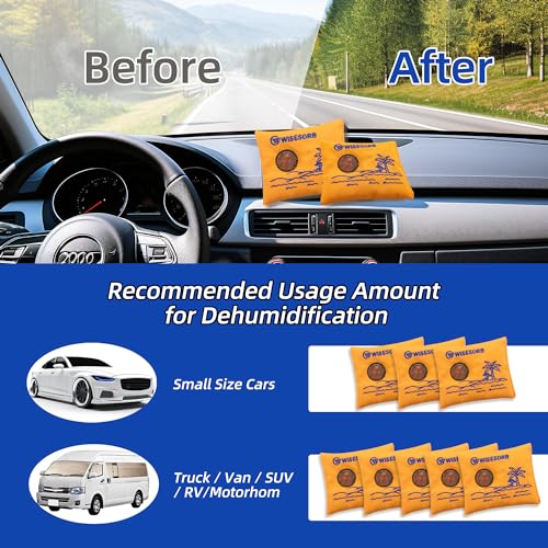 100g x 5 Pack Reusable Desiccant Packs for Storage (5 Count)