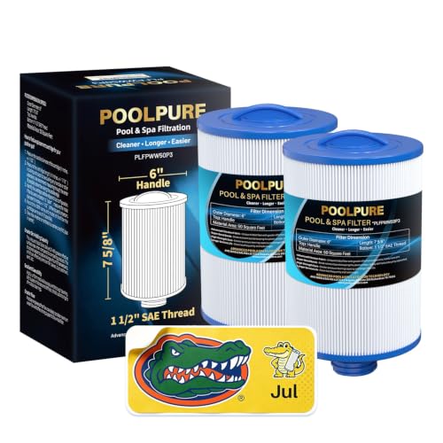 PWW50P3 Spa Filter Replaces Unicel 6CH (2 Count)