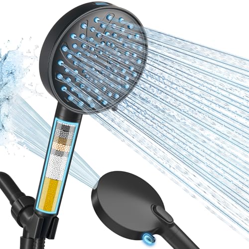 Filtered Shower Head with Handheld