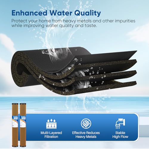 5 Micron 20" x 2.5" Whole House Coconut Shell Activated Carbon and KDF Water Filter (2 Count)