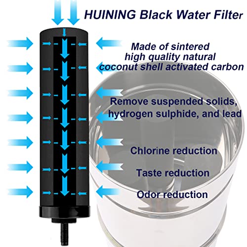 Black Water Filtration System with Fluoride Filters for Purification