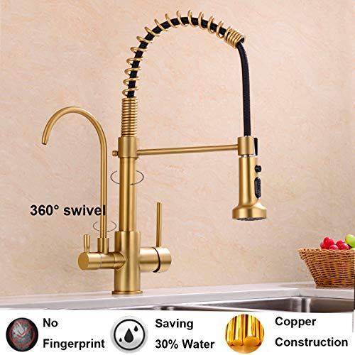 Commercial 3 in 1 Spring Brushed Gold Kitchen Faucet