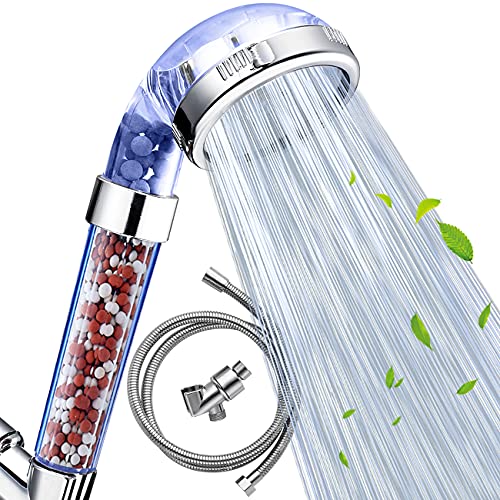 Shower Head with Hose and Bracket