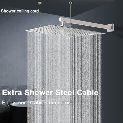 Shower Head with Extension Arm