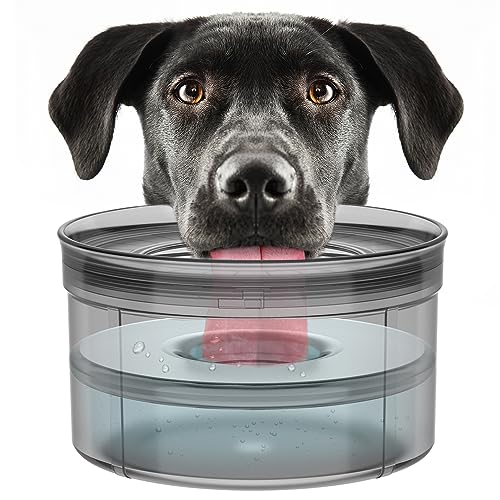 No Spill Water Bowl for Dogs