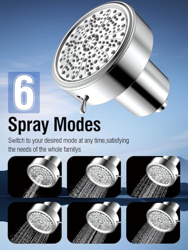 Filtered Shower Head with Filters