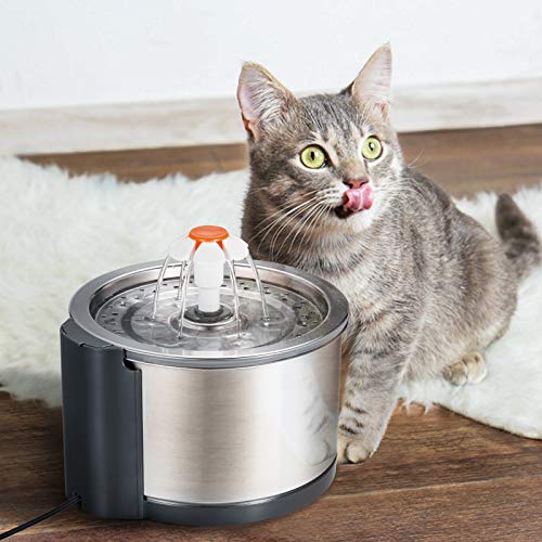 Cat Water Fountain Stainless Steel
