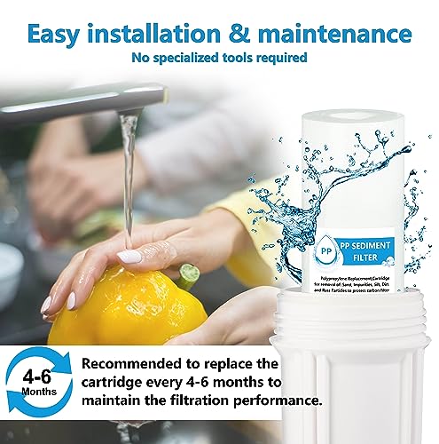 External RV Dual Replacement Water Filters