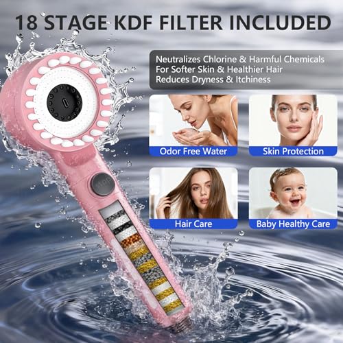 Filtered Shower Head with Handheld