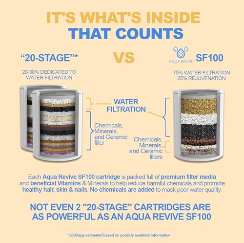 High Output Revitalizing Shower Filter