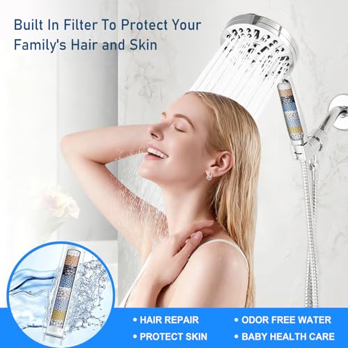 Filtered Shower Head with Handheld