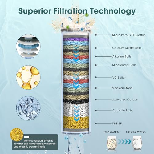 Filtered Shower Head with Handheld