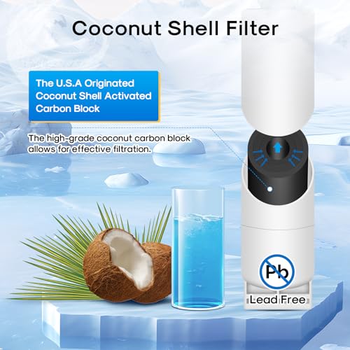 4396508 Refrigerator Water Filter (2 Count)