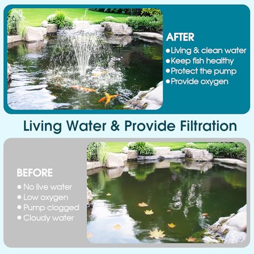 Pond Filter Built