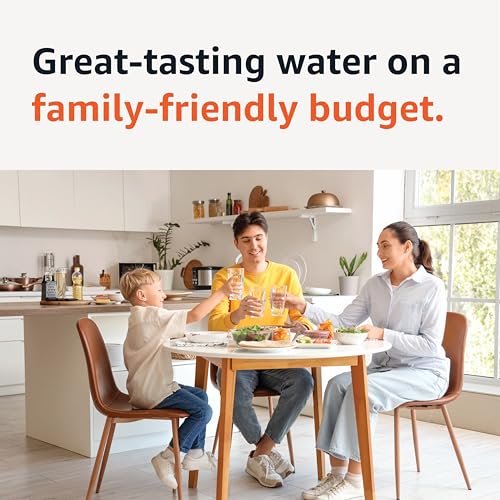 Enhanced Water Filters for Pitcher (6 Count)