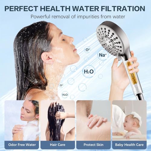 Filtered Shower Head with Handheld