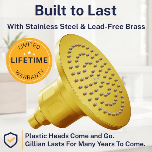 Gillian Filtered Shower Head for Hard Water