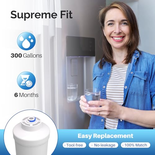 GXRTDR Inline Water Filter Replacement for Samsung DA29 (2 Count)