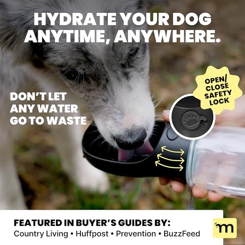 Dog Water Bottle