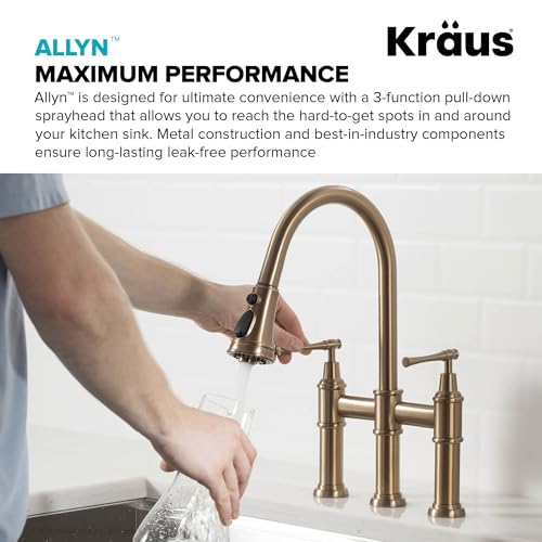Allyn Transitional Bridge Kitchen Faucet with Pull