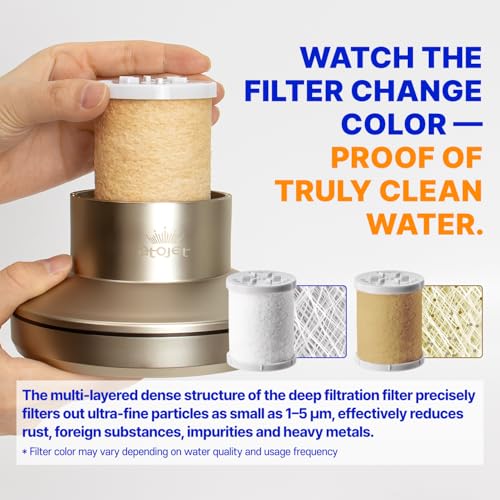 Core Shower Filter Shaped by Korea’s Beauty History