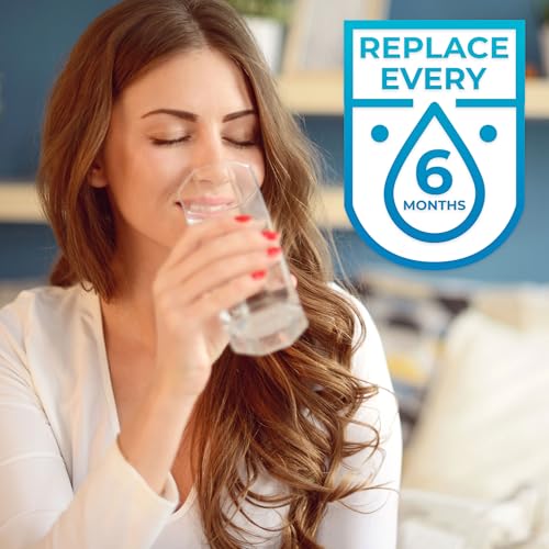 SP-WP100-3PK Water Filter Compatible for EDR1RXD1 46-9081 46-9930 (3 Count)