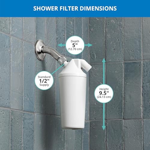 Shower Filter